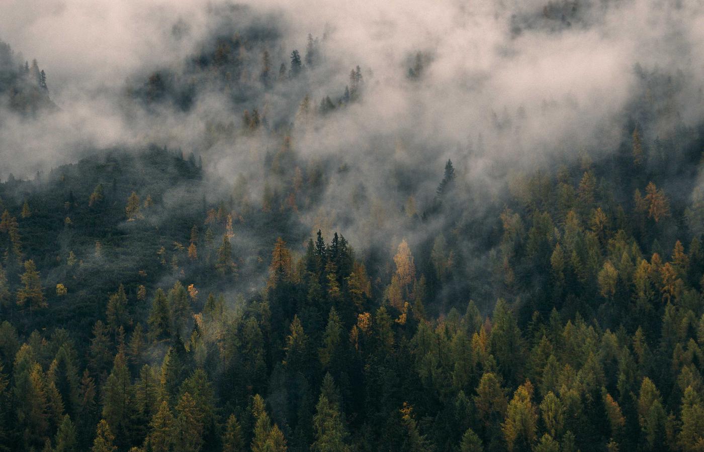 Team managing social media support and customer conversations