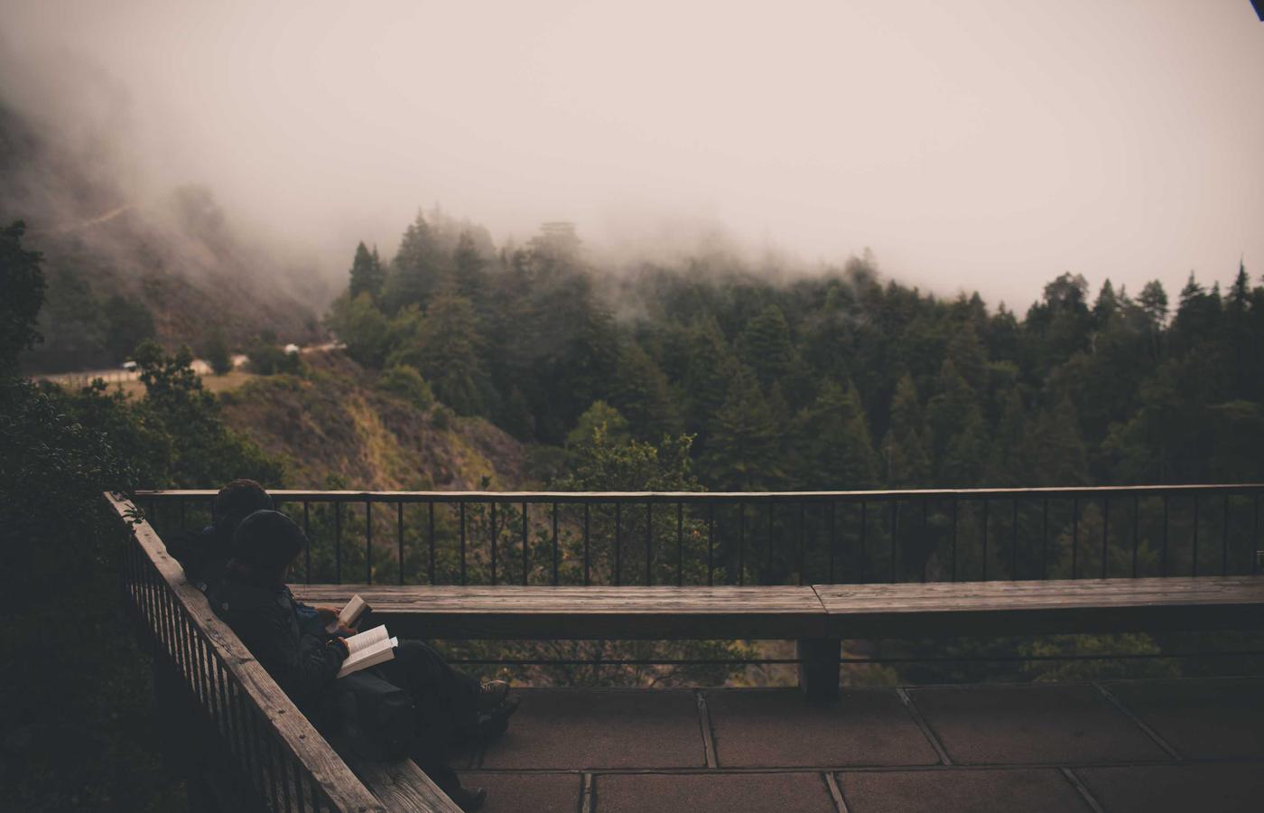 Email campaign operations dashboard with analytics insights